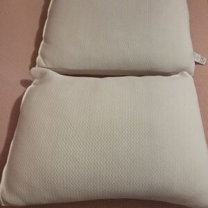Set of 2 JOY Standard Gusseted Pillows, Like New